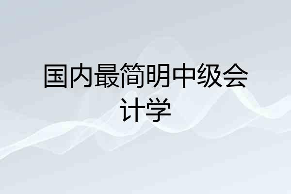 国内最简明中级会计学