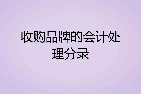 收购品牌的会计处理分录