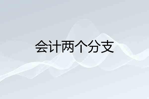 会计两个分支
