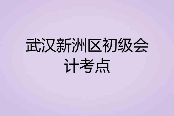 武汉新洲区初级会计考点