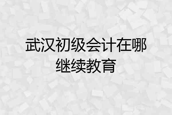 武汉初级会计在哪继续教育