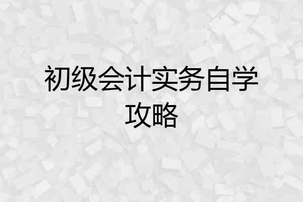 初级会计实务自学攻略