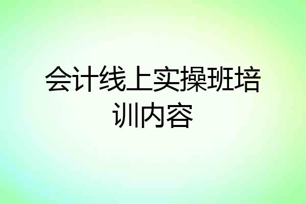 会计线上实操班培训内容