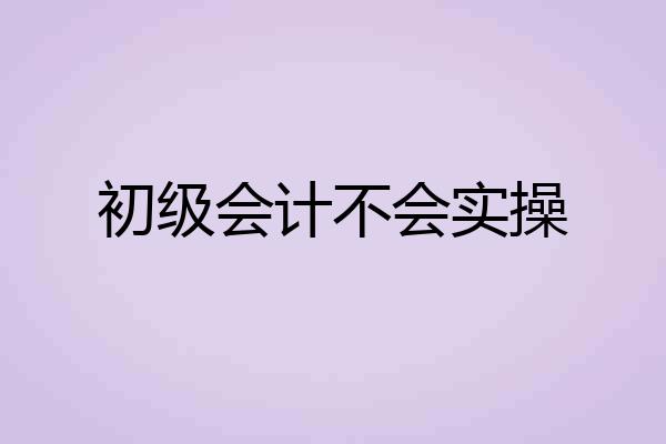 初级会计不会实操