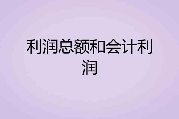 利润总额和会计利润