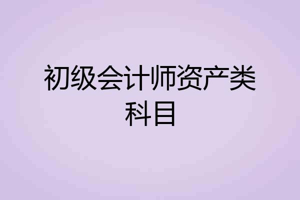 初级会计师资产类科目