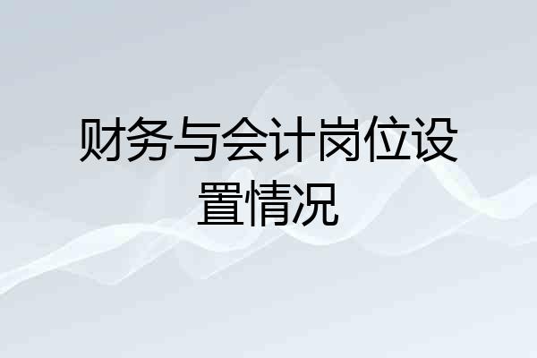 财务与会计岗位设置情况