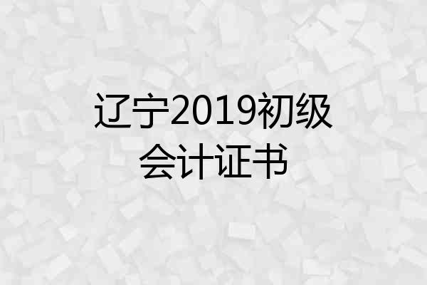 辽宁2019初级会计证书
