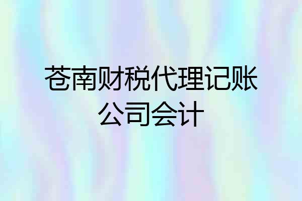 苍南财税代理记账公司会计