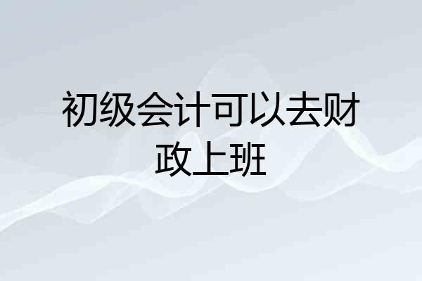初级会计可以去财政上班