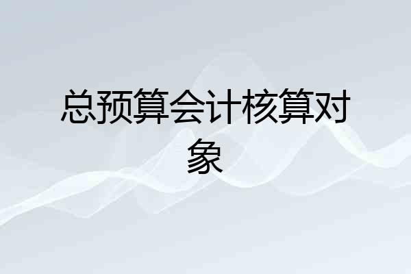总预算会计核算对象