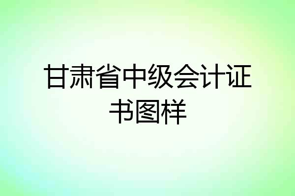 甘肃省中级会计证书图样