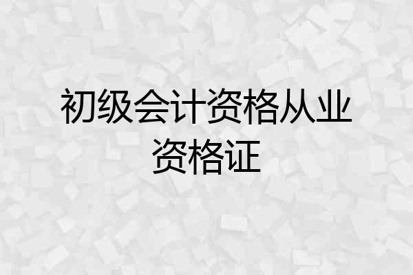 初级会计资格从业资格证