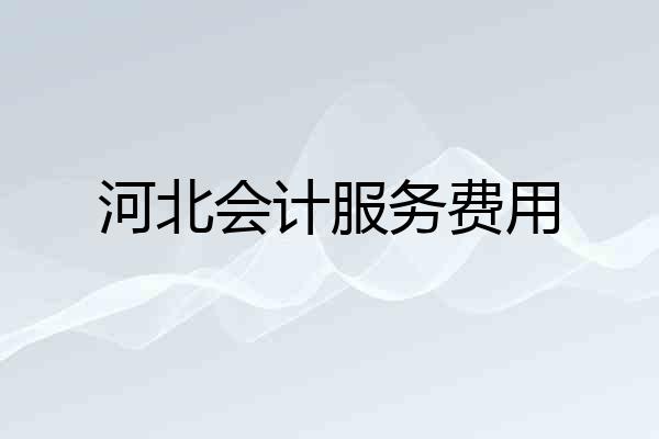 河北会计服务费用