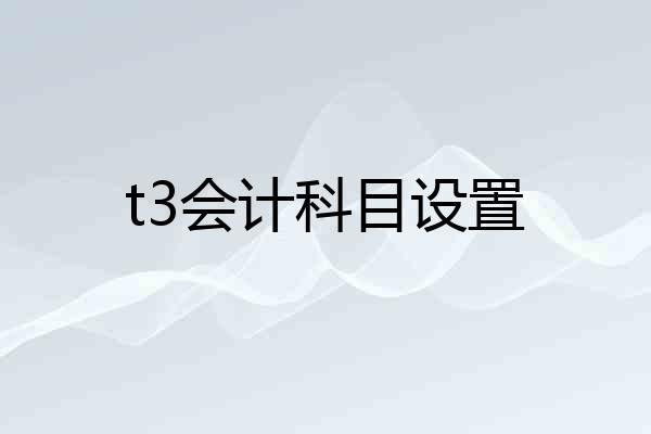 t3会计科目设置