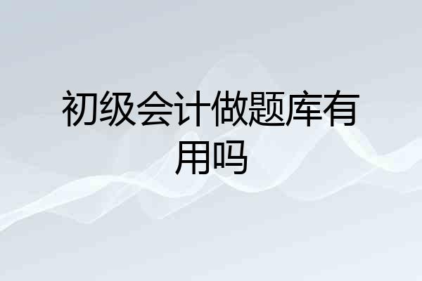 初级会计做题库有用吗