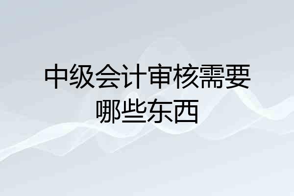 中级会计审核需要哪些东西