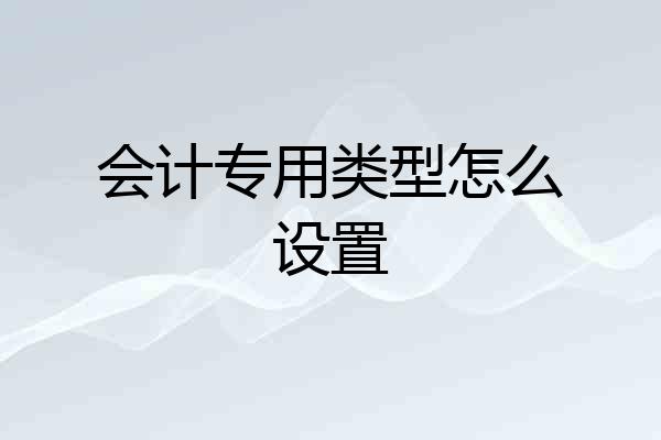 会计专用类型怎么设置