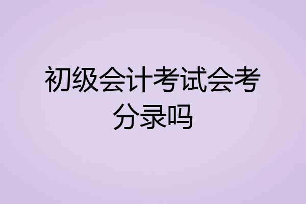 初级会计考试会考分录吗