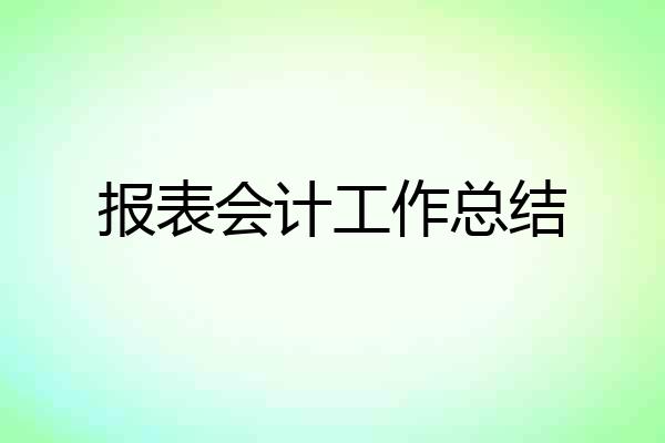 报表会计工作总结