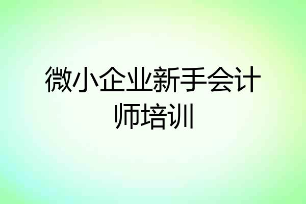 微小企业新手会计师培训
