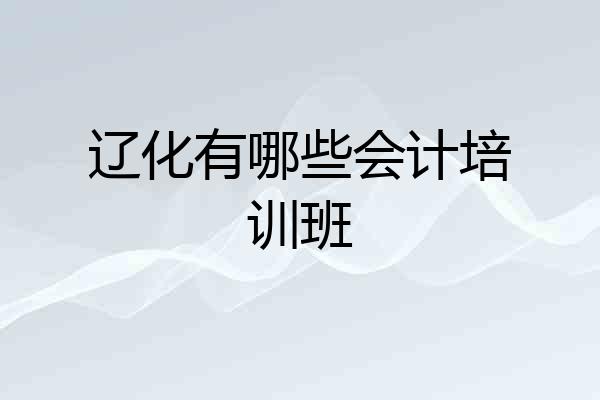 辽化有哪些会计培训班
