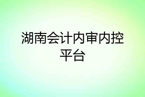 湖南会计内审内控平台