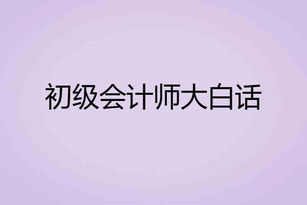 初级会计师大白话