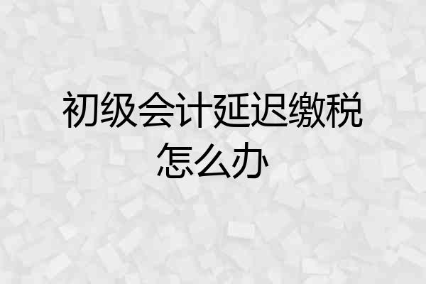 初级会计延迟缴税怎么办