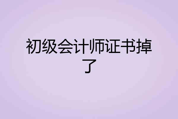 初级会计师证书掉了