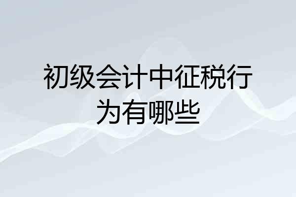 初级会计中征税行为有哪些