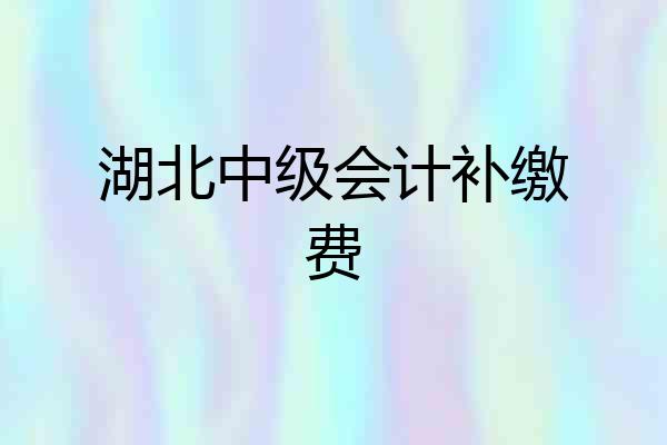 湖北中级会计补缴费