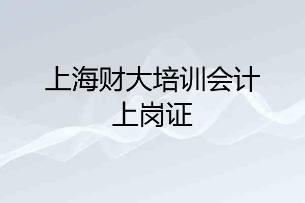 上海财大培训会计上岗证