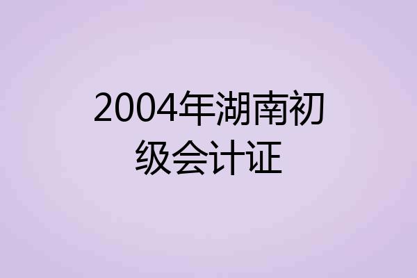 2004年湖南初级会计证