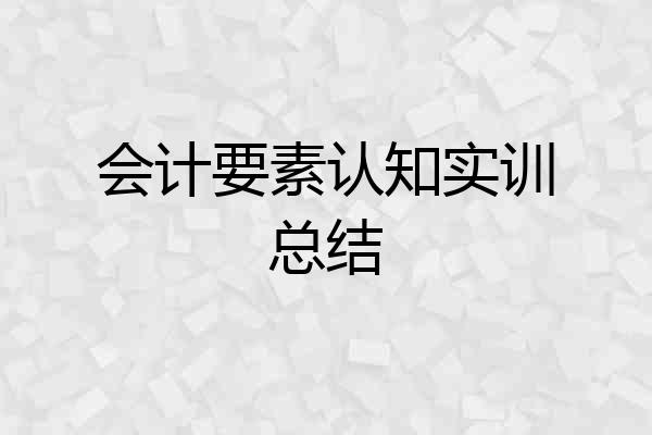 会计要素认知实训总结