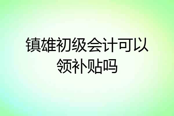镇雄初级会计可以领补贴吗