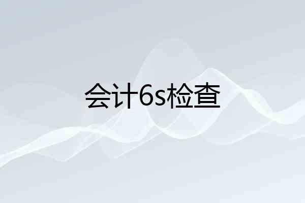 会计6s检查