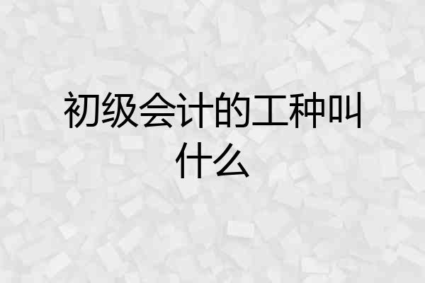 初级会计的工种叫什么
