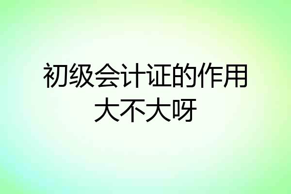 初级会计证的作用大不大呀