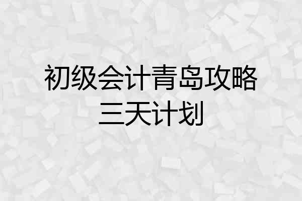 初级会计青岛攻略三天计划