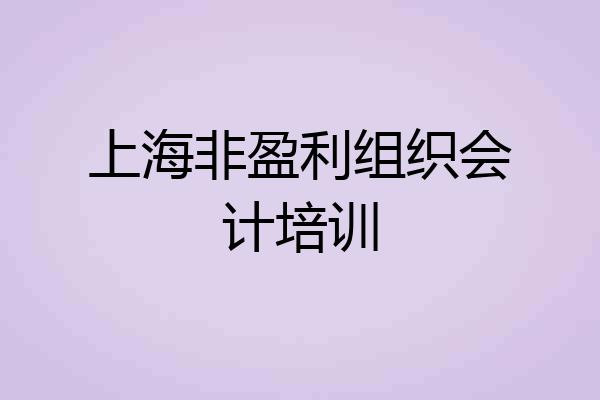 上海非盈利组织会计培训
