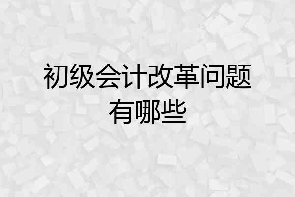 初级会计改革问题有哪些