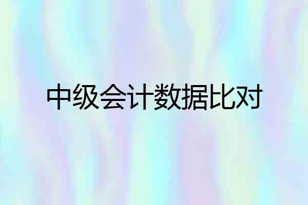 中级会计数据比对