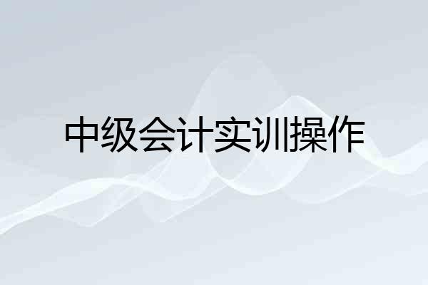 中级会计实训操作