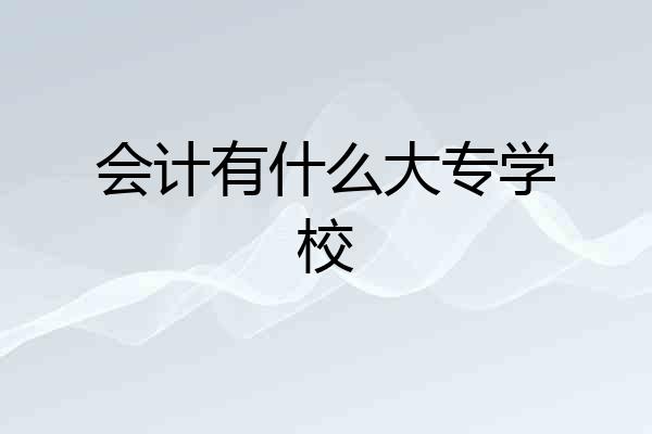 会计有什么大专学校