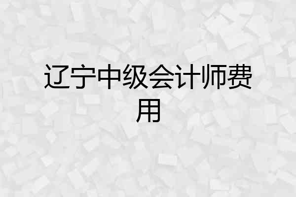 辽宁中级会计师费用