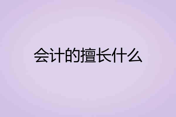 会计的擅长什么