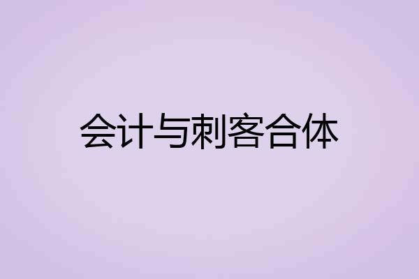会计与刺客合体
