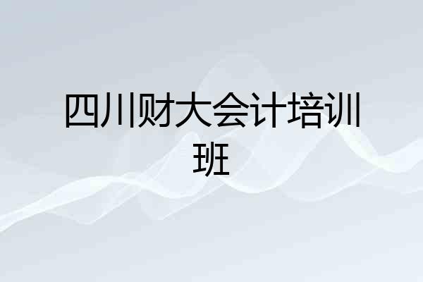 四川财大会计培训班