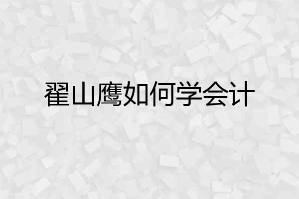 翟山鹰如何学会计
